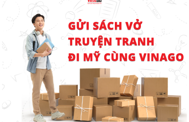 Dịch Vụ Gửi Sách Giáo Khoa, Truyện Tranh Đi Mỹ Uy Tín, An Toàn Cùng Vinago Express Tại Tp. Hồ Chí Minh