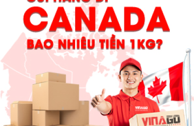 Gửi Hàng Đi Canada Bao Nhiêu Tiền 1 Kg? Bảng Giá & Yếu Tố Ảnh Hưởng