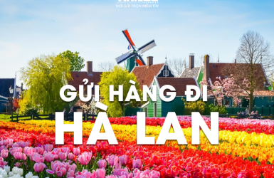 DỊCH VỤ GỬI HÀNG KHÓ ĐI HÀ LAN