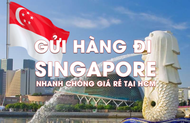 GỬI HÀNG ĐI SINGAPORE NHANH CHÓNG GIÁ RẺ TẠI HCM