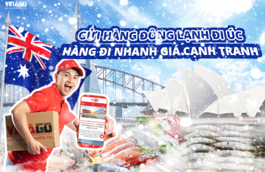 Dịch Vụ Gửi Hàng Đông Lạnh Đi Úc Uy Tín – Nhanh Chóng | Vinago Express