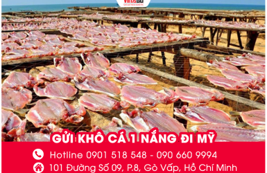 Cách Gửi Khô Cá 1 Nắng Đi Mỹ An Toàn, Không Bị Hư Hỏng Cùng Vinago Express