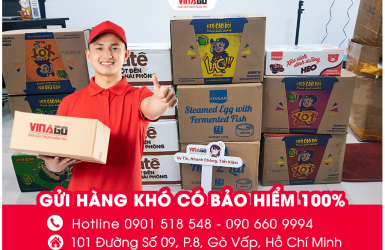 VINAGO EXPRESS – DỊCH VỤ GỬI HÀNG KHÓ ĐI NƯỚC NGOÀI AN TOÀN, NHANH CHÓNG VỚI BẢO HIỂM 100%