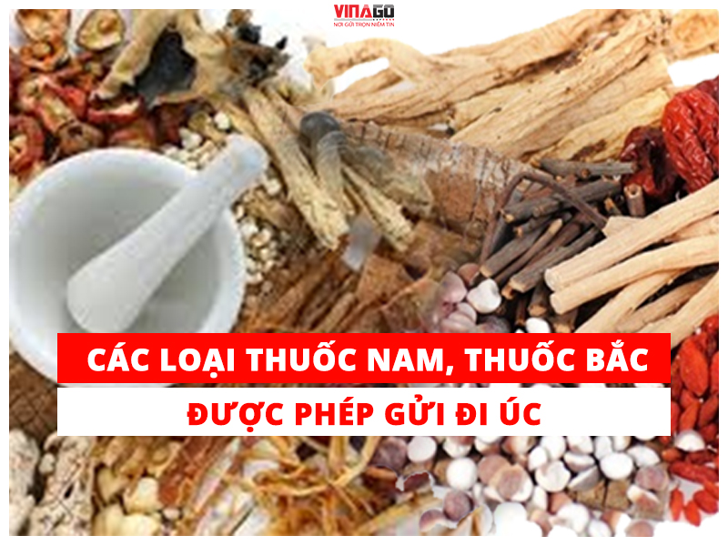 CÁC LOẠI THUỐC NAM THUỐC BẮC ĐƯỢC PHÉP GỬI ĐI ÚC