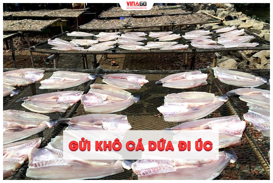 GỬI KHÔ CÁ DỨA ĐI ÚC NHANH CHÓNG CÙNG VINAGO EXPRESS