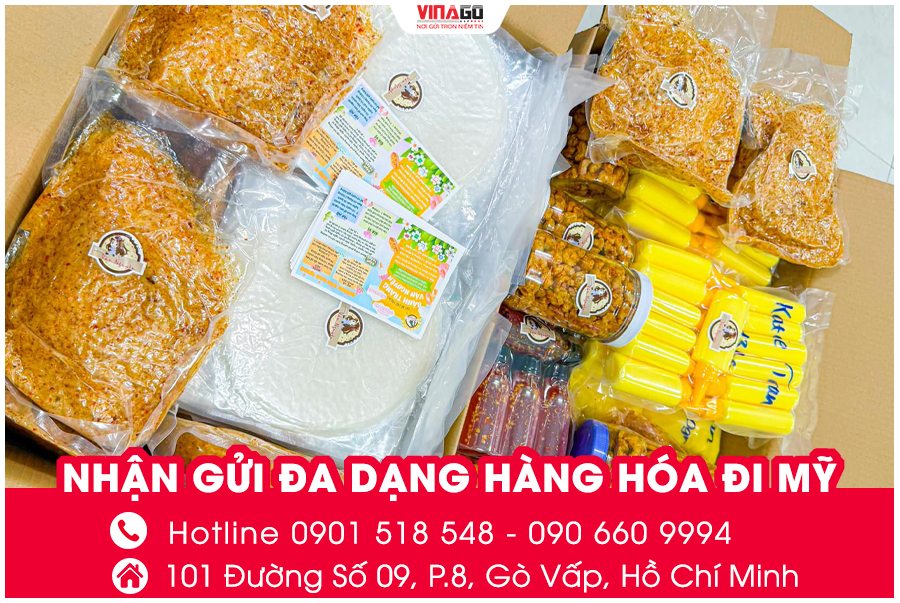 GỬI ĐA DẠNG CÁC MẶT HÀNG ĐI MỸ CÙNG VINAGO EXPRESS
