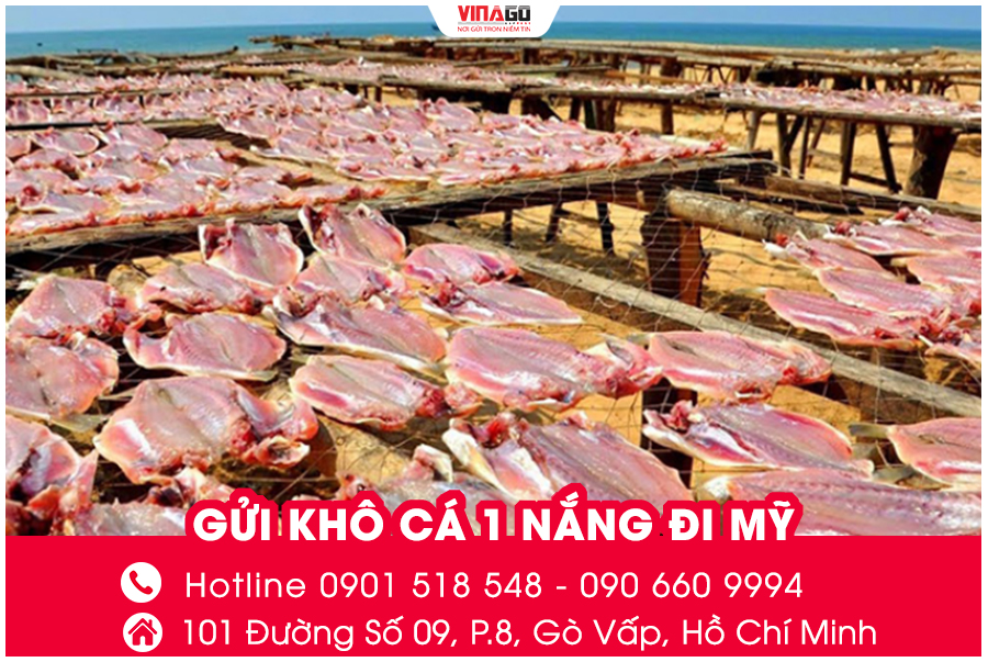 GỬI KHÔ CÁ 1 NẮNG ĐI MỸ CÙNG VINAGO EXPRESS