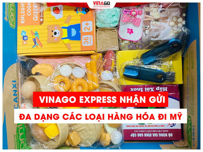 VINAGO EXPRESS NHẬN GỬI ĐA DẠNG CÁC LOẠI HÀNG HÓA ĐI MỸ