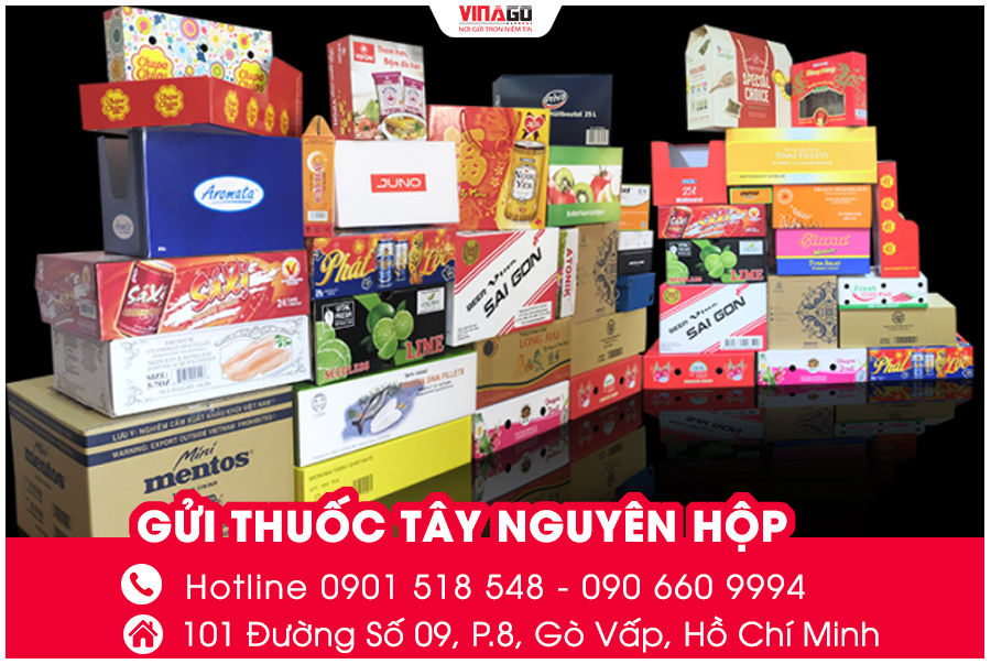 GỬI THUỐC TÂY ĐI NƯỚC NGOÀI NGUYÊN HỘP, NGUYÊN VỎ