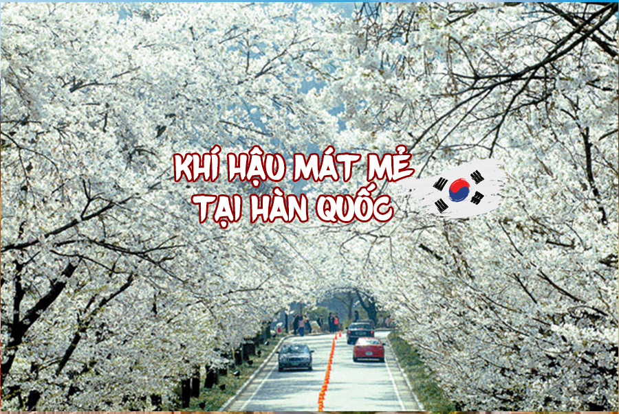 KHÍ HẬU HÀN QUỐC MÁT MẺ